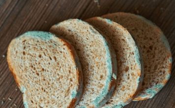 Zaboravite na buđ: Ovaj kuhinjski trik čuva hljeb i do tri sedmice