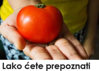 Lako ćete prepoznati paradajz pun otrova: Dovoljno je da obratite pažnju na ovaj deo