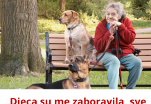Ušteđevinu ostavljam psima, deca su me za srce ujela: Život sam im dala, sad kad su stabilni, odbacili su me kao otirač