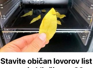 Svi bi trebali biti svjesni efekta koji se može postići jednostavnim stavljanjem običnog lovorovog lista u rernu i ostavljanjem da se peče 20 minuta