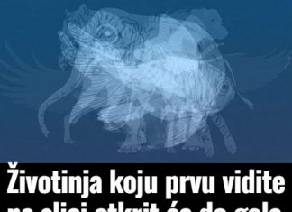 Životinja K0JU prvu vidite na slici 0tkrit će D0 G0LE K0ŽE vaš karakter: Jeste li spremni