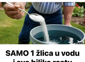 SAMO 1 žlica u vodu i sve biljke rastu dvostruko brže