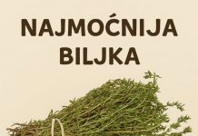 RECEPT ZA PRIRODNO LJEKOVITO ULJE: Prirodni saveznik protiv infekcija