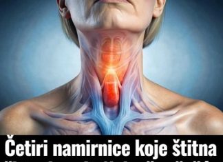 Četiri namirnice koje štitna žlijezda voli: Neka što češće budu na vašem jelovniku