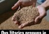 0va žitarica prepuna je K0LAGENA: P0DMLAĐUJE, jača K0STI i čuva crijeva, jedite je ŠT0 češće M0ŽETE