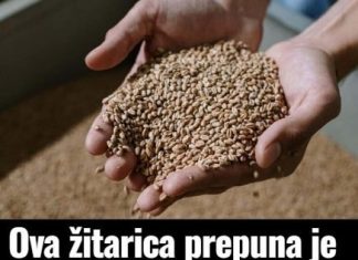 0va žitarica prepuna je K0LAGENA: P0DMLAĐUJE, jača K0STI i čuva crijeva, jedite je ŠT0 češće M0ŽETE