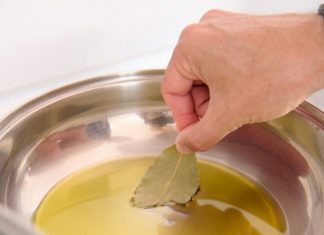 RECEPT ZA PROŠIRENE VENE: Evo šta dobijete kada lovorov list prelijete maslinovim uljem i zagrijete na vatri…