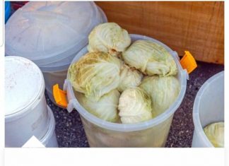 Starinski Recept Koji Provereno Uspeva Čak I Početnicima!