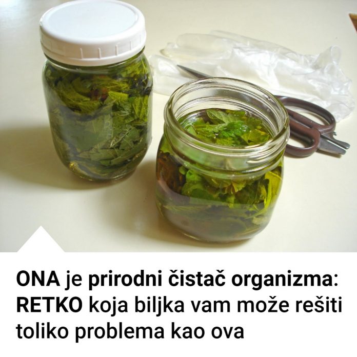 487484467_1399009854515386_205312881177806_n (1)