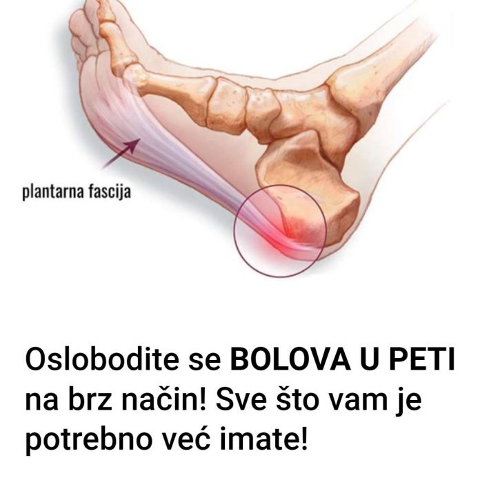 509627045_1468150997601271_5107553002152997760_n (1)