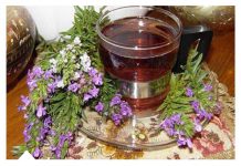 Rtanjski čaj priprema namena i dejstvo