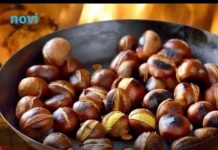 5 razoga zašto trebate jesti kesen