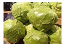 Trik za kiseli kupus: Brže se ukiseli, ne buđa i ima puniji ukus, sve zbog 1 neočekivanog sastojka