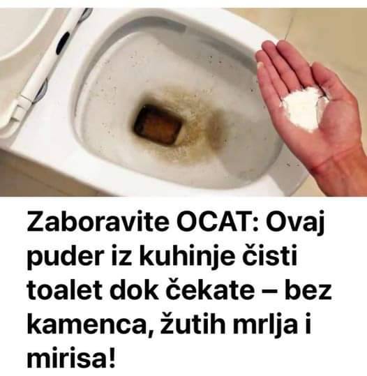 571275673_1689806059010752_3165297513493863934_n