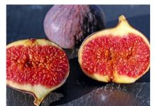 Smokve pomažu kod probave, menstrualnih bolova i upala, ali nisu za svakoga