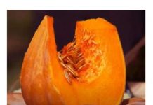 Spas za pluća, disajne puteve i imunitet: Ova biljka je pravo blago, jedite je svaki dan