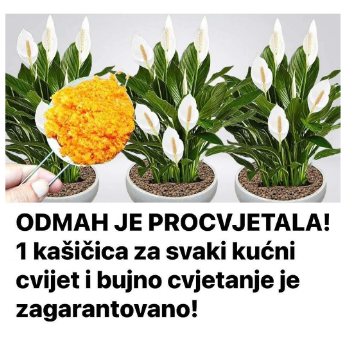 518237166_1144454887716451_2753755652529517184_n