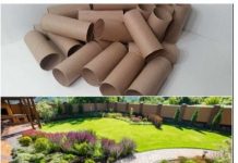 Ne bacajte rolnu toalet papira: Jedna žena je napravila čudo – i svi će ovog proleća posmatrati njeno dvorište