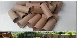 Ne bacajte rolnu toalet papira: Jedna žena je napravila čudo – i svi će ovog proleća posmatrati njeno dvorište