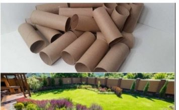 Ne bacajte rolnu toalet papira: Jedna žena je napravila čudo – i svi će ovog proleća posmatrati njeno dvorište