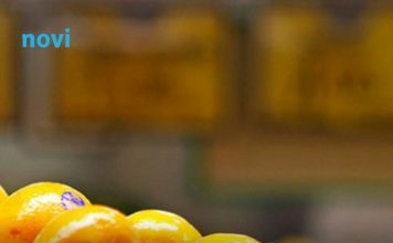 Pesticidi u mandarinama: Analiza otkrila šta zapravo jedemo