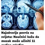 POVRĆE JE TOLIKO ZDRAVO DA O NJEMU PIŠE NJUJORK TAJMS: Amerikanci daju po 30 dolara za jedan list, a ono raste kod nas
