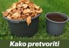 Kako pretvoriti hrpe suhog lišća u najplodnije tlo za samo 60 dana…