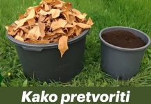 Kako pretvoriti hrpe suhog lišća u najplodnije tlo za samo 60 dana…