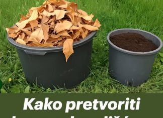 Kako pretvoriti hrpe suhog lišća u najplodnije tlo za samo 60 dana…
