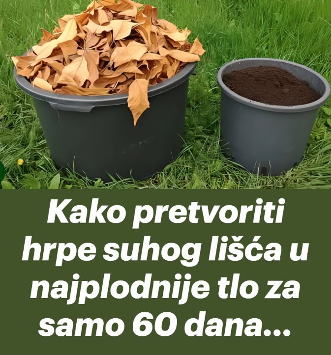 576766381_1178709291061446_9161548800373411506_n