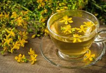 Čaj od kantariona za um i telo