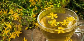 Čaj od kantariona za um i telo