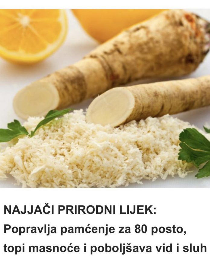 579170624_1134449638902590_7741800358352197761_n