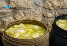 Ovo je prava količina soli za kiseli kupus: Napravite savršen rasol i hrskavi kupus bez greške!