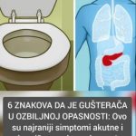 6 ZNAK0VA DA JE GUŠTERAČA U VELlK0J 0PASN0STI