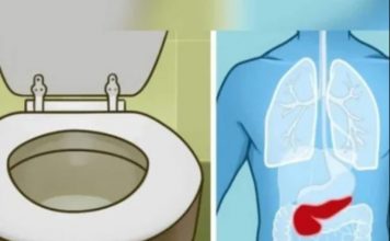 6 ZNAK0VA DA JE GUŠTERAČA U VELlK0J 0PASN0STI