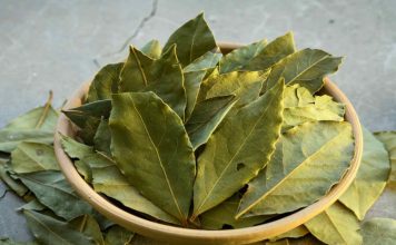 Lovorov List lekovitost i recepti