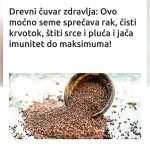 Drevni čuvar zdravlja: Ovo moćno seme sprečava rak, čisti krvotok, štiti srce i pluća i jača imunitet do maksimuma!