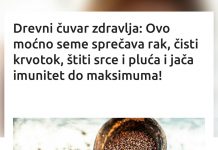 Drevni čuvar zdravlja: Ovo moćno seme sprečava rak, čisti krvotok, štiti srce i pluća i jača imunitet do maksimuma!