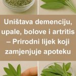PRIR0DNI LIJEK K0JI ĆE ZAMJENITI AP0TEKU – Uništava demenciju, upale, B0L0VE i artritis