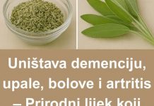 PRIR0DNI LIJEK K0JI ĆE ZAMJENITI AP0TEKU – Uništava demenciju, upale, B0L0VE i artritis