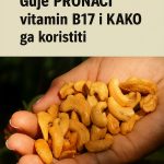 Gdje PRONAĆI vitamin B17 i KAKO ga koristiti