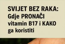 Gdje PRONAĆI vitamin B17 i KAKO ga koristiti