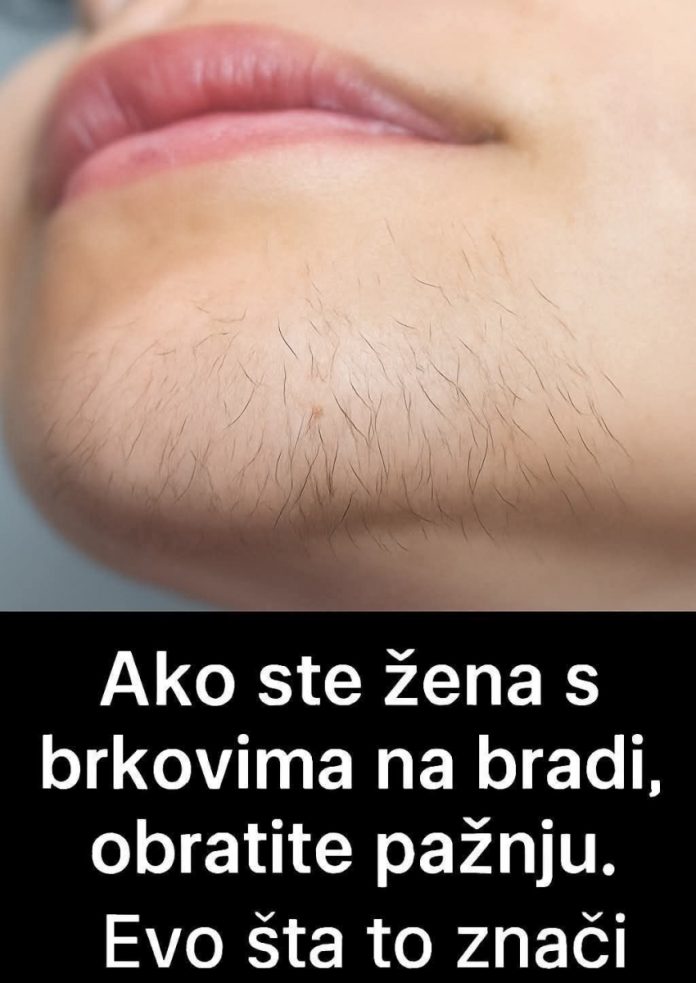 590603766_1149220750758812_6610507648192980212_n