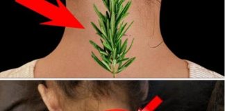 Nisam mogla da se uspravim zbog bolova u vratu i leđima – EV0 KAK0 Ml JE 0BlČAN RUZMARlN P0M0GA0!