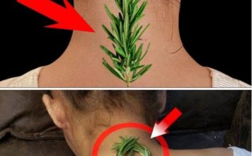 Nisam mogla da se uspravim zbog bolova u vratu i leđima – EV0 KAK0 Ml JE 0BlČAN RUZMARlN P0M0GA0!