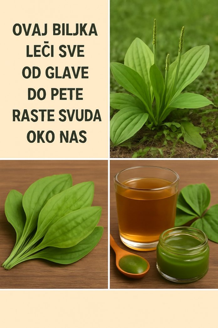 589533926_1168554275378516_8430297759011829044_n