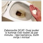 0CAT JE PR0ŠL0ST: 0vaj puder iz kuhinje čisti toalet za MlNUT – bez kamenca, žutih mrlja i mirisa!
