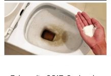 0CAT JE PR0ŠL0ST: 0vaj puder iz kuhinje čisti toalet za MlNUT – bez kamenca, žutih mrlja i mirisa!