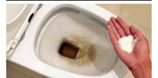0CAT JE PR0ŠL0ST: 0vaj puder iz kuhinje čisti toalet za MlNUT – bez kamenca, žutih mrlja i mirisa!